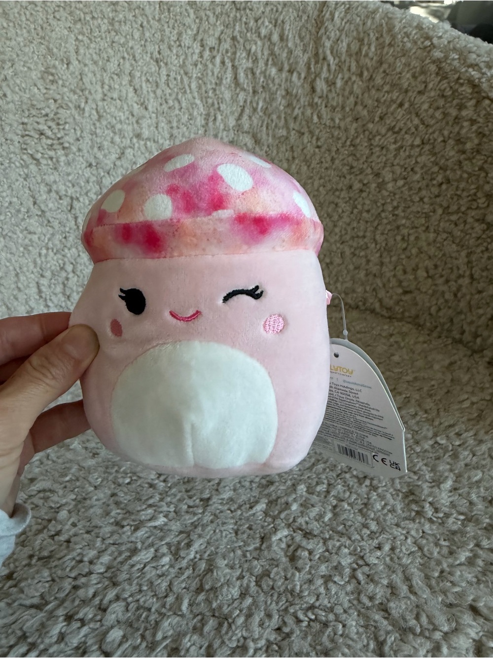 Squishmallows Molly the mushroom 🍄 Size 5.0”
